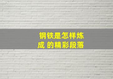 钢铁是怎样炼成 的精彩段落